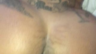bunz4everr anal #2