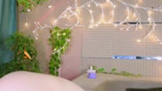PollyVinice 2