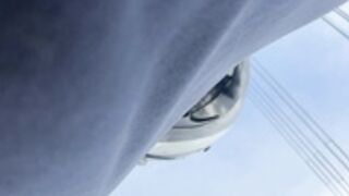 Tvoyasamka77_2026-07-12_1