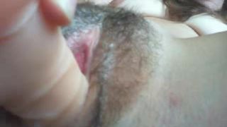 hazelx