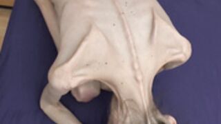 anorexic Denisa 8t00677